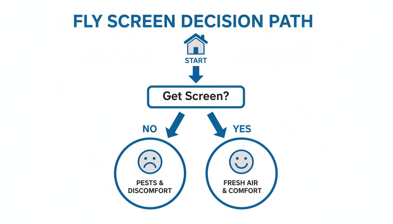 Flowchart illustrating the decision path for fly screens, showing benefits of fresh air and comfort.