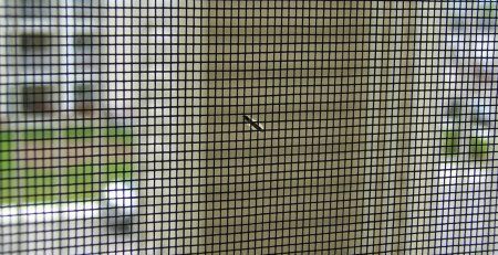 Close-up of insect mesh with a view through to the garden